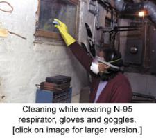 Man cleaning mold while wearing N95 mask.
